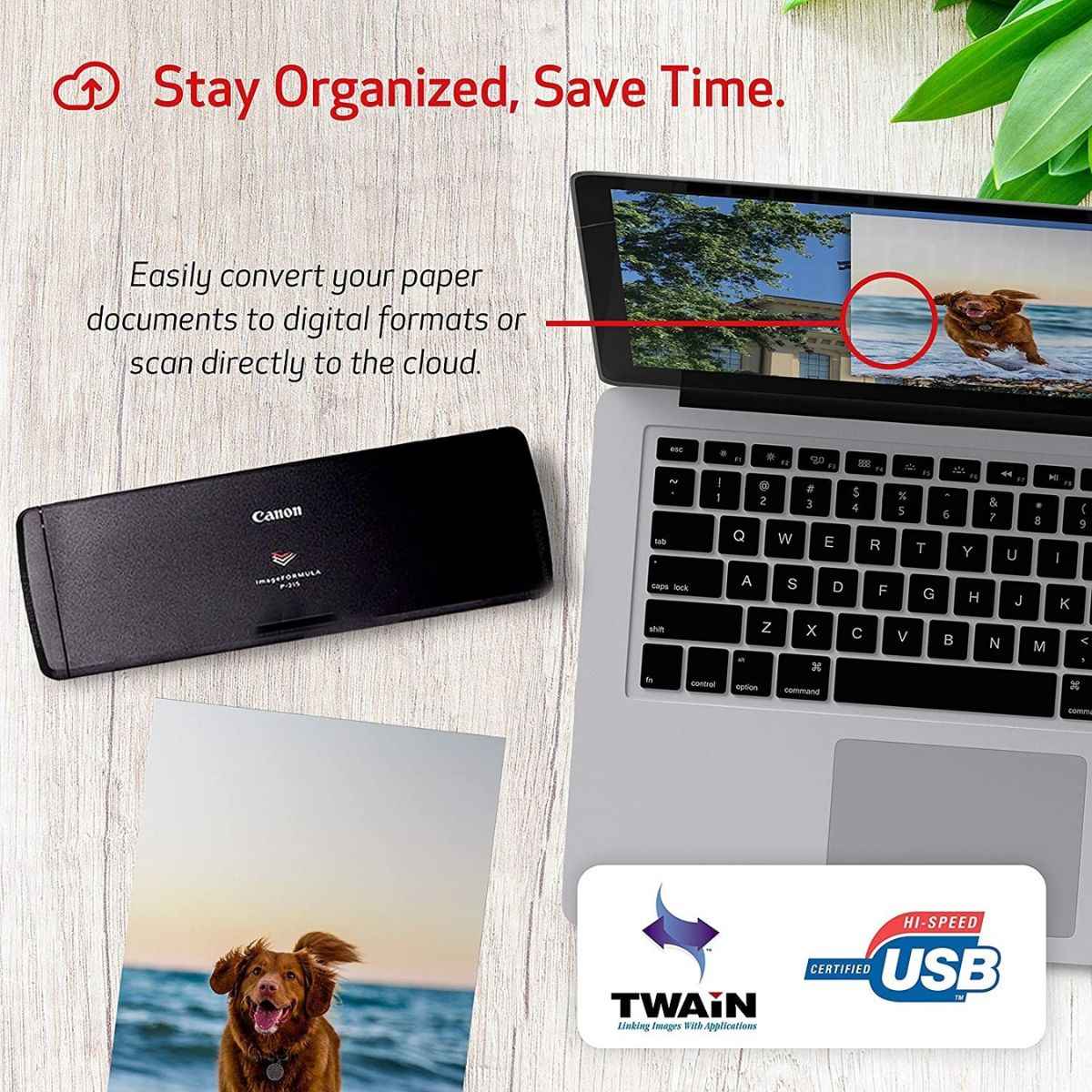 Canon ImageFORMULA P-215II Mobile Document Scanner Black | 9705B003AE