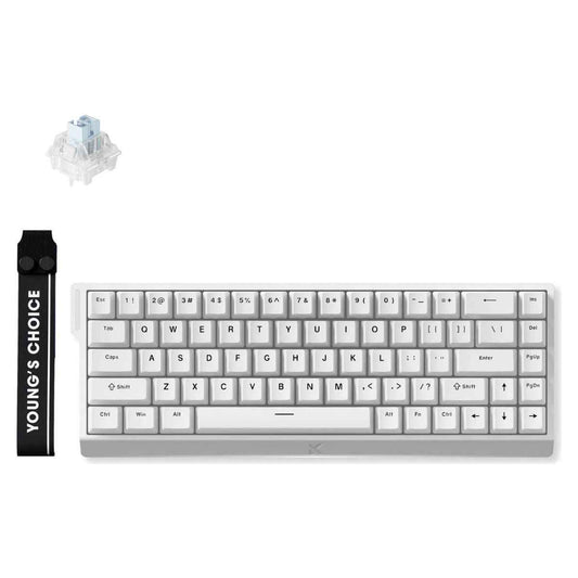 MCHOSE Ace68 E-sport Magnetic Switch 65% Wired Gaming Keyboard, Ice Blue Magnetic Switch, Cherry Profile PBT Double-Shot Keycaps, Gasket Mount, Aluminum Plate, White | MC-Ace68-15
