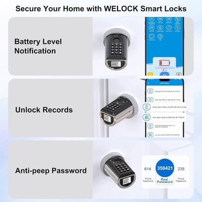 WeLock ToucD41 Smart Lock – Electronic Fingerprint &amp; App Controlled Door Lock, Keyless Entry, Bluetooth, RFID, Black | ToucD41