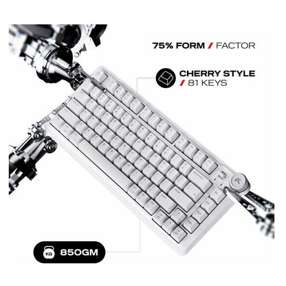 Cybeart Nighthawk 75 Signature Edition Gaming Keyboard – 75% Compact Layout, Pre-Lubed Mechanical Switches, Hot-Swappable, RGB Backlit, Tri-Mode Connectivity &amp; Multi-Function Media Knob