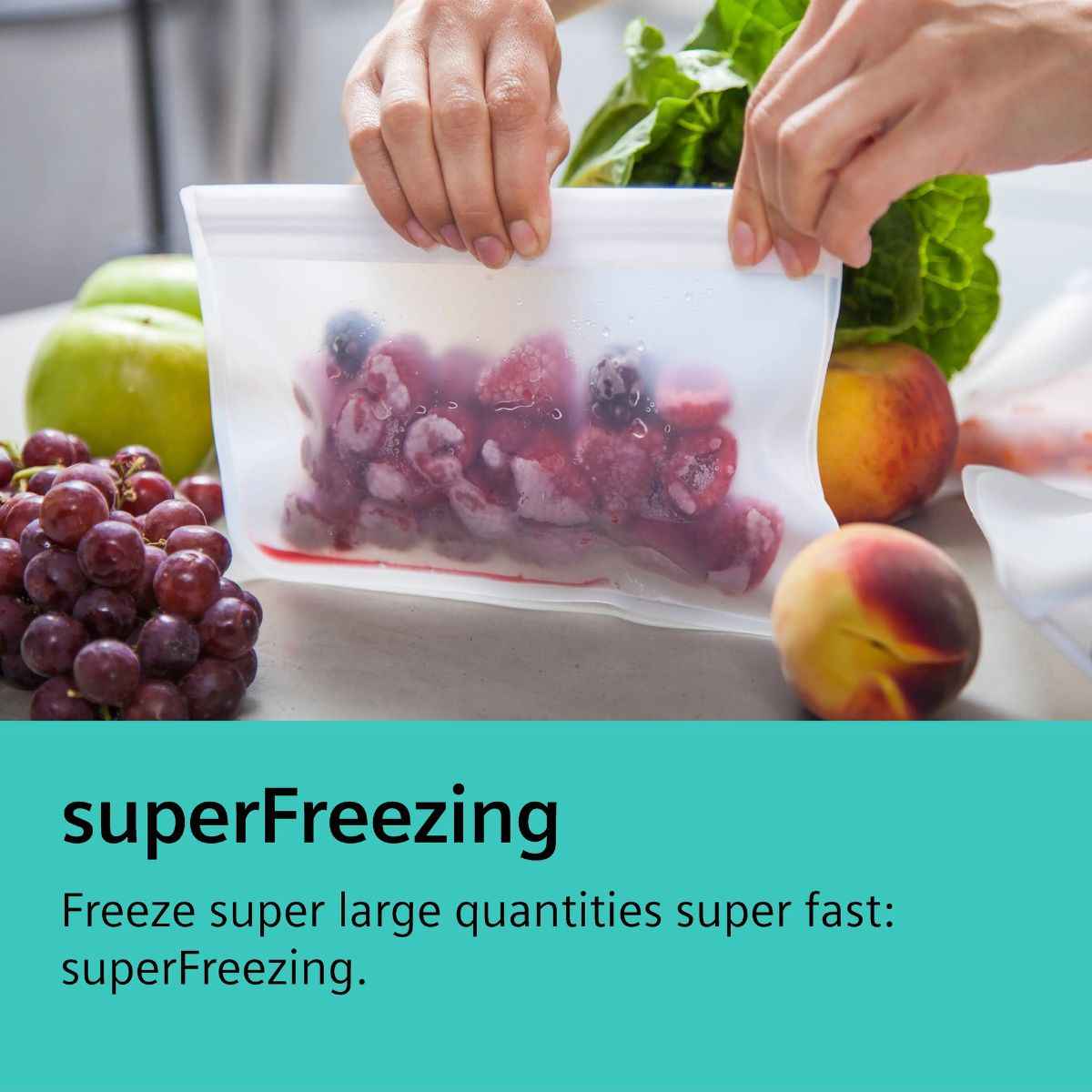 Siemens iQ300 530L Free-Standing Bottom Freezer Refrigerator – Inox-Look (Model KG55NVLE0M)