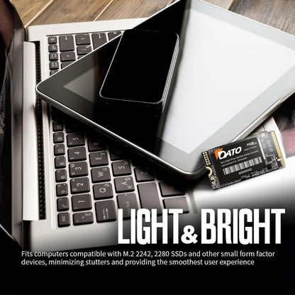 DATO DP342 512GB M.2 2242 NVMe SSD | PCIe Gen3 x4 | Up to 2500MB/s Read | 1700MB/s Write