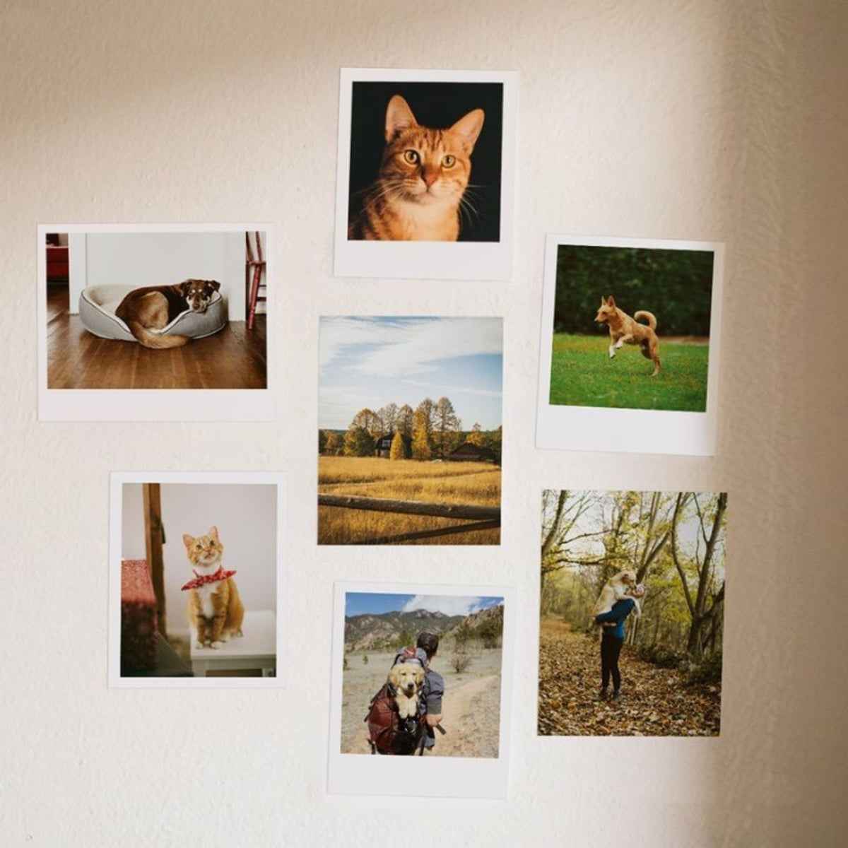 Kodak Photo Sticker Paper – Self‑Adhesive Glossy Photo Sheets (A4, 120gsm, 10‑Pack)