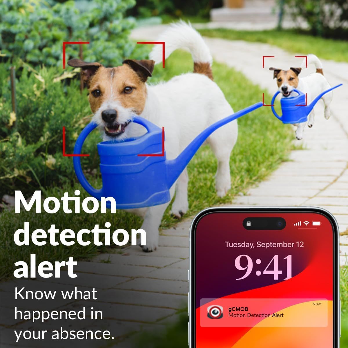 CP PLUS 4MP Wi-Fi Full Color Outdoor Smart Security Camera – Alexa & Google Assistant Compatible | CP-Z43A