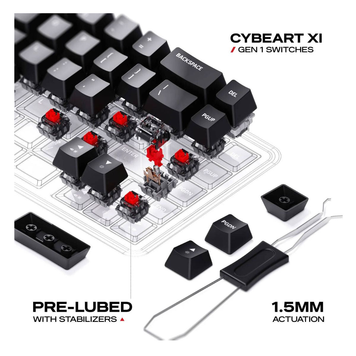 Cybeart Akula 65 Lite Mechanical Gaming Keyboard | 65% Compact Layout | Hot-Swappable Pre-Lubed Switches | RGB Backlit | Wired USB-C | Black | KB-AKULA65LITE-CYB01