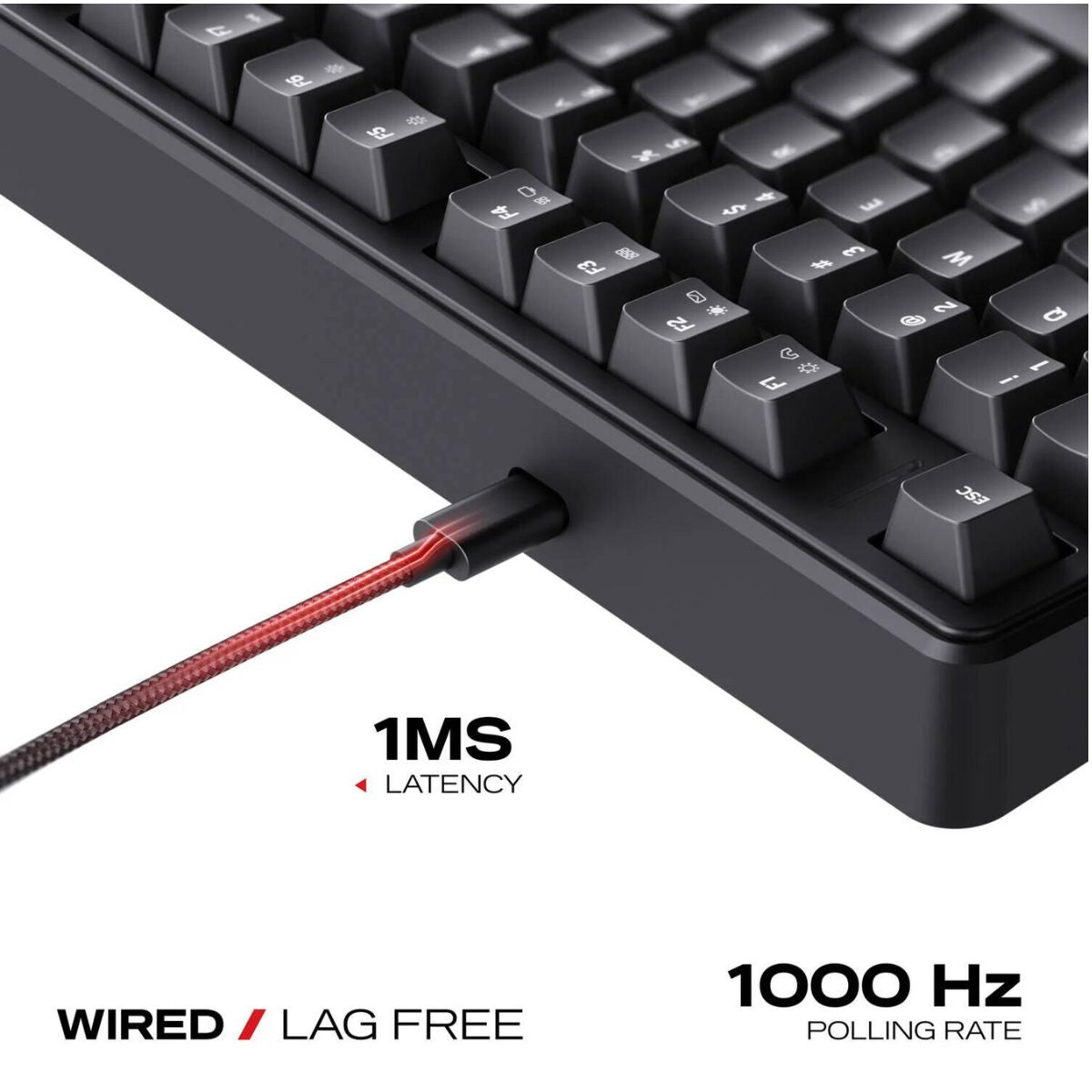Cybeart Akula 99 Lite Mechanical Gaming Keyboard | 99% Compact Full-Size Layout | Hot-Swappable Linear Switches | RGB Backlit | USB-C Wired | Media Knob | Black | KB-AKULA99LITE-CYB01