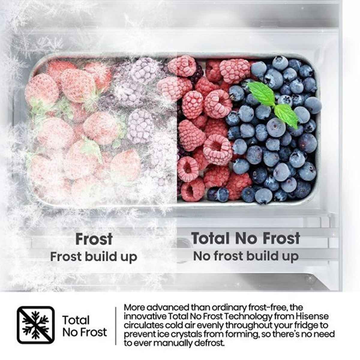 Hisense 355L Upright Fridge- RL3N484NAI, Single Door, Total No Frost, Metal Tech Cooling, Multi Air Flow, LED Digital Display, Reversible Door, Low Noise, Energy Efficient, Silver