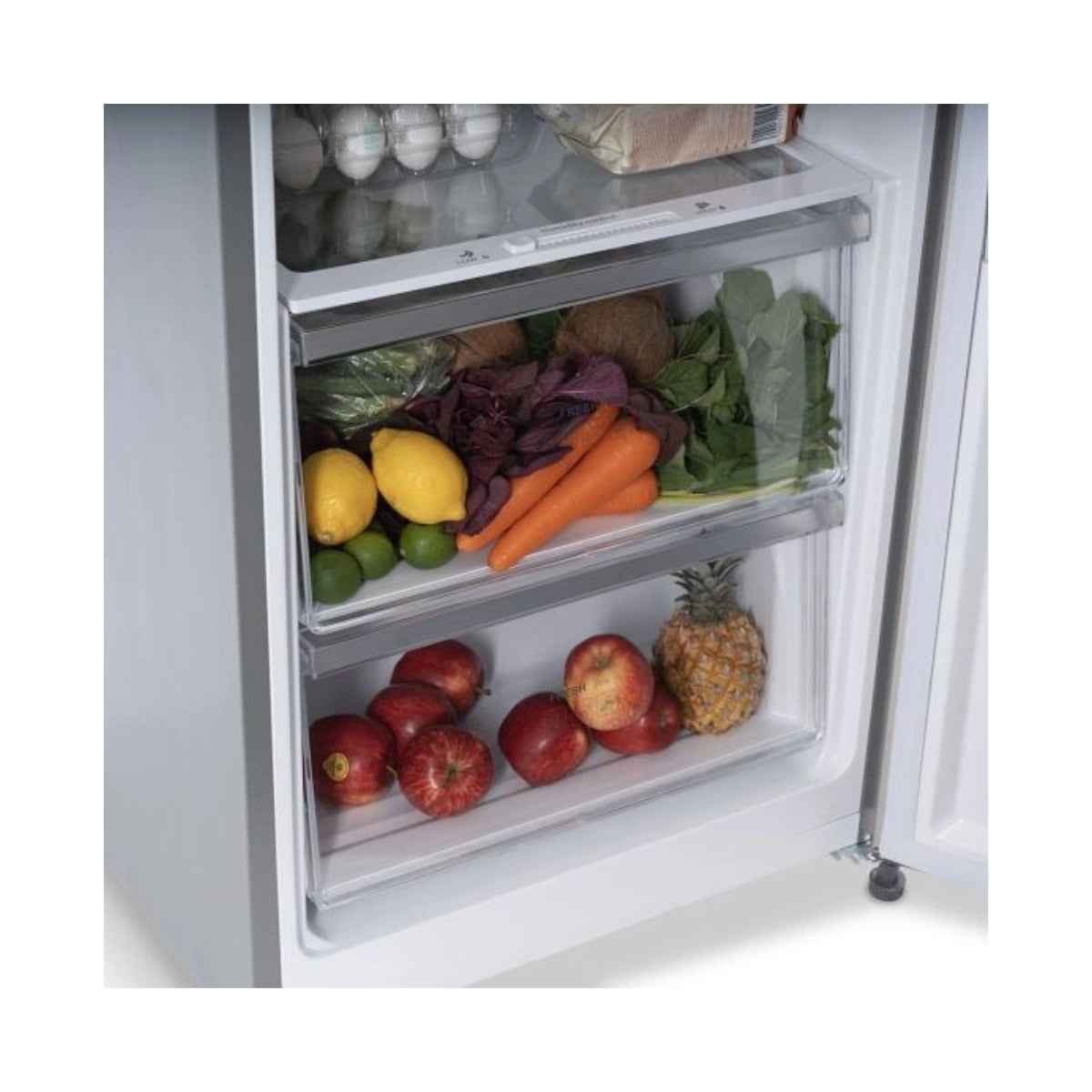 Terim TERUR460SS 373L Upright Refrigerator, No Frost Technology, LED Display Control, Multi Air Flow, Adjustable Shelves, Stainless Steel Finish