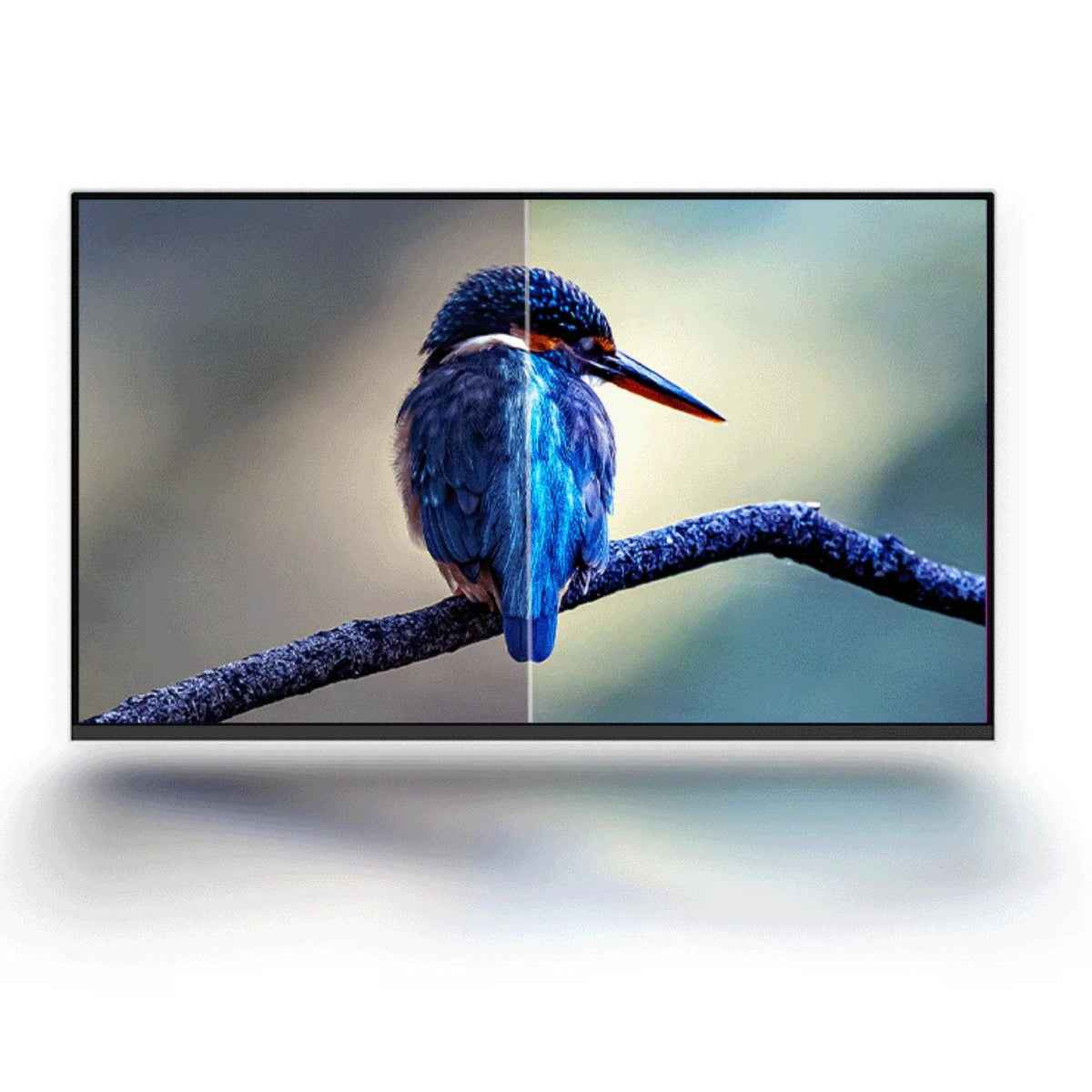 Lenovo L24i-4A, 23.8" FHD IPS Monitor, 1ms Response Time, AMD FreeSync, 100Hz Resfresh Rate, 16.7M Colors With 99% sRGB, 2x3W Speakers, Eyesafe 2.0 & Low Blue Light, HDMI/VGA, Cloud Gray