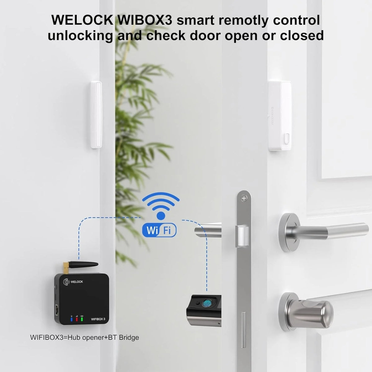 WELOCK Touch41 Biometric Fingerprint Smart Door Lock – Electronic Lock Cylinder, Wi-Fi App Control, RFID Card Access, Bluetooth, Keyless Entry | Touch41
