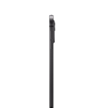 Apple iPad Pro M4 13-inch Standard Glass